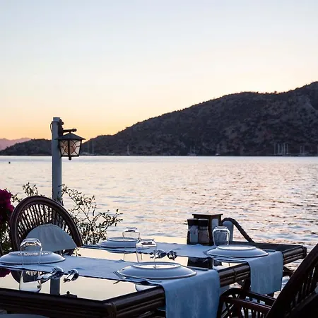 Aphrodite 博兹布伦