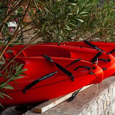 Aphrodite * 博兹布伦