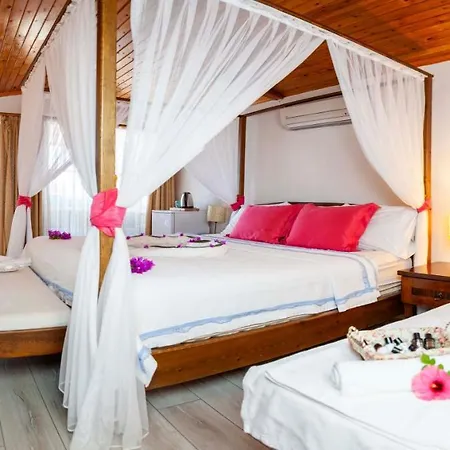 酒店 Aphrodite 博兹布伦