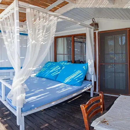 Aphrodite 博兹布伦