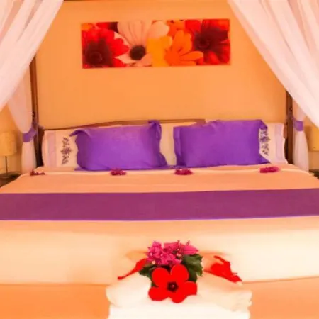 酒店 Aphrodite 博兹布伦