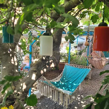 酒店 Aphrodite 博兹布伦