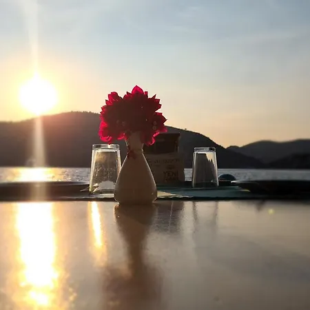 Aphrodite 酒店 博兹布伦