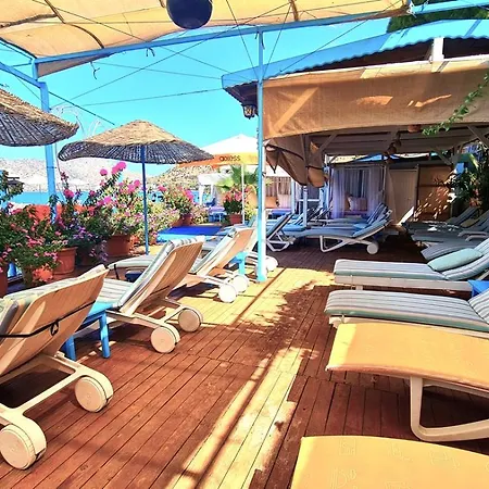 Aphrodite 博兹布伦