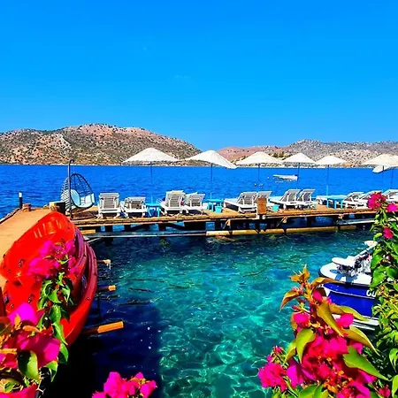 Aphrodite * 博兹布伦