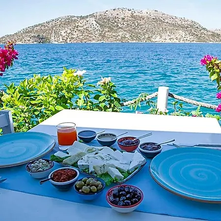 Hotel Aphrodite